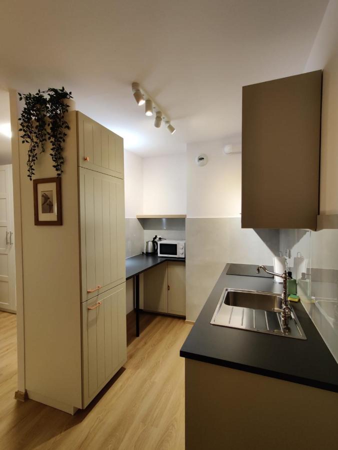 Panda Apartment Wroclaw Exterior photo
